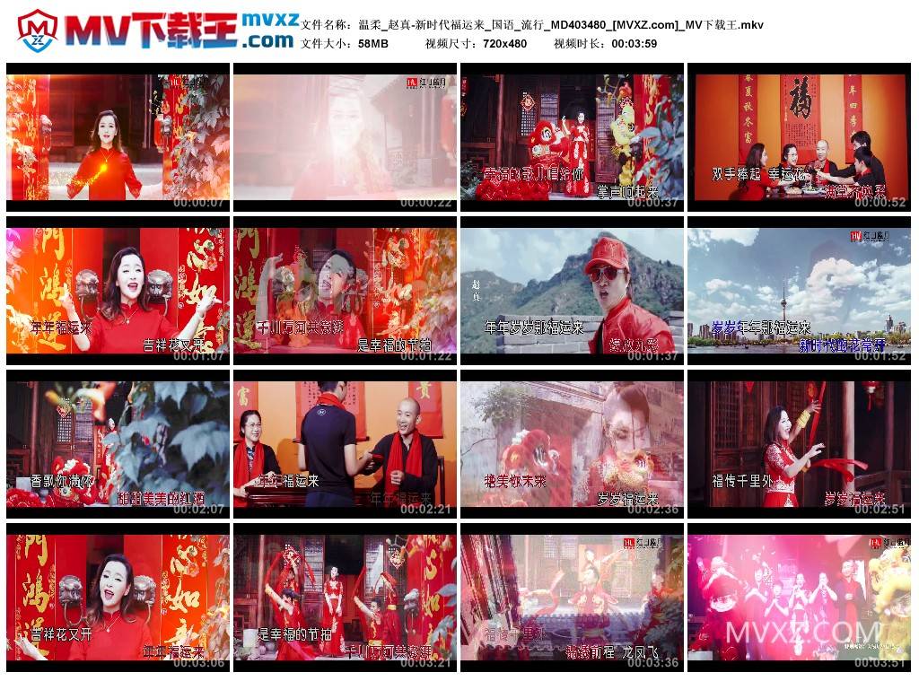 温柔_赵真-新时代福运来_国语_流行_MD403480